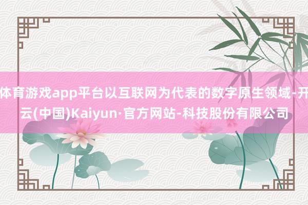体育游戏app平台以互联网为代表的数字原生领域-开云(中国)Kaiyun·官方网站-科技股份有限公司