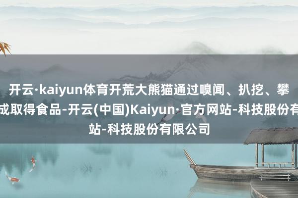 开云·kaiyun体育开荒大熊猫通过嗅闻、扒挖、攀爬等看成取得食品-开云(中国)Kaiyun·官方网站-科技股份有限公司