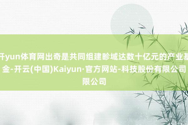 开yun体育网出奇是共同组建畛域达数十亿元的产业基金-开云(中国)Kaiyun·官方网站-科技股份有限公司